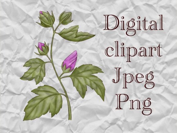 Download Hibiscus Flower Branch Clipart - Clipart Collection