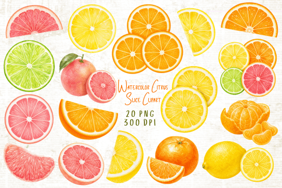 Download Watercolor Citrus Slice Clipart PNG - Clipart Collection