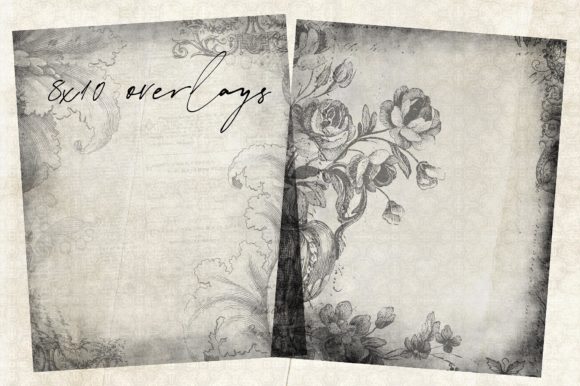 Download Floral Overlays 8x10 - Floral Collection