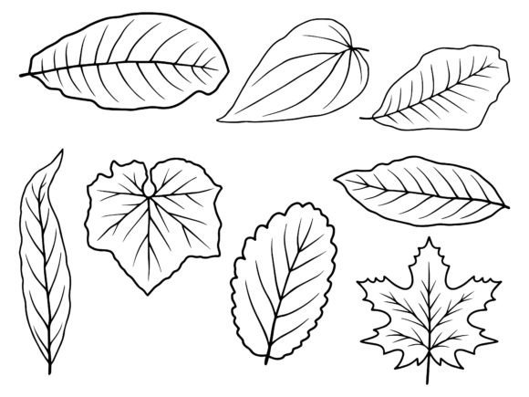 Download Leaf Line Art Illustration - Art Collection