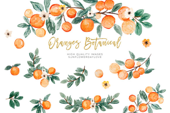 Download Orange Summer Clipart, Citrus Clipart - Clipart Collection