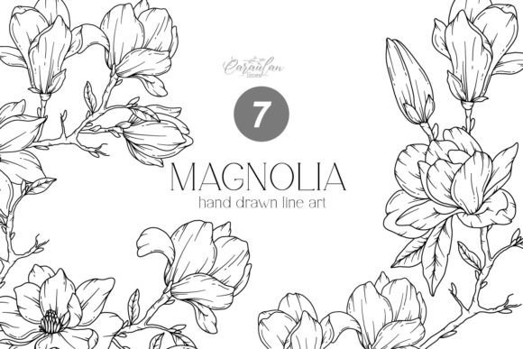 Download MAGNOLIA LINE DRAWING, Floral Line Art - Art Collection