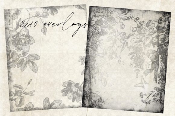 Download Floral Overlays 1 - Floral Collection