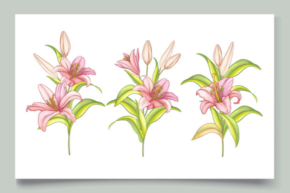 Download Hand Drawn Floral Wedding Card Set - Floral Collection