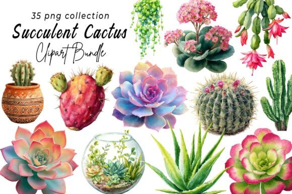 Download Succulent Clipart, Cactus Png - Clipart Collection
