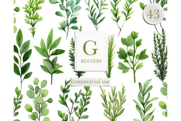 Download Watercolor Greenery Leaves Clipart - Clipart Collection
