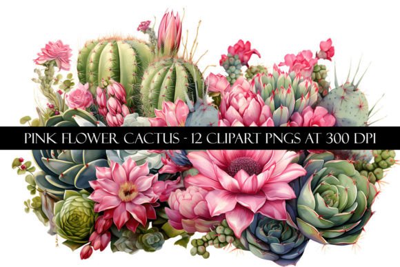 Download Pink Flower Cactus Clipart - Clipart Collection
