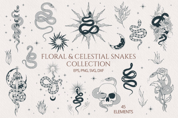 Download Hand Drawn Floral &amp; Celestial Snake Set - Floral Collection