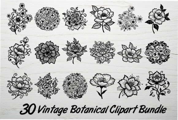Download 30 Vintage Botanical Clipart Bundle - Clipart Collection