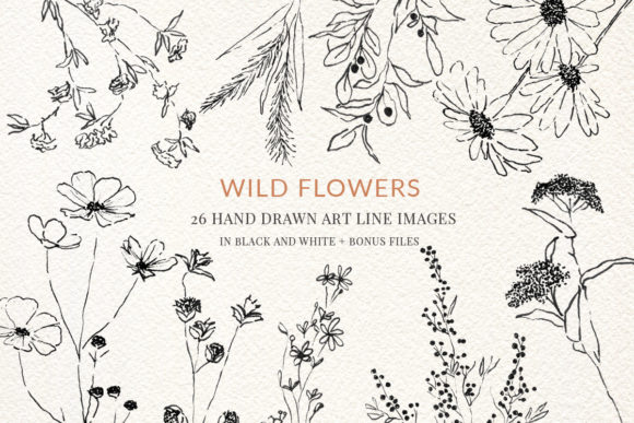 Download Wild Flowers Fine Line Clipart Hand Draw - Clipart Collection