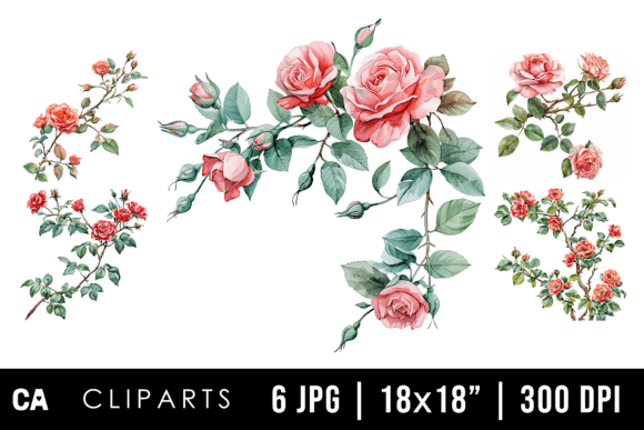 Download Watercolor Rose Flower Branch Cliparts - Clipart Collection