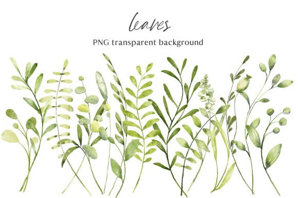 Download Leaves, Watercolor Clipart, PNG Files. - Clipart Collection