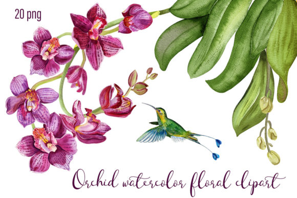 Download Orchid Watercolor Floral Digital Clipart - Clipart Collection