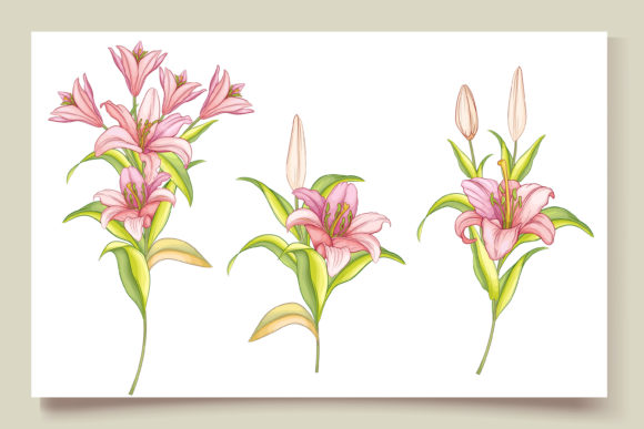 Download Hand Drawn Floral Wedding Card Set - Floral Collection
