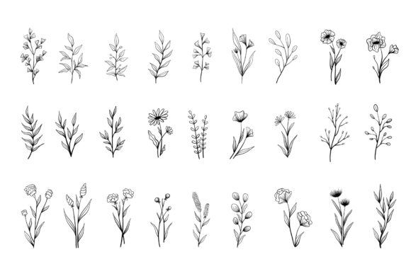Download Hand Drawn Floral Doodles - Floral Collection