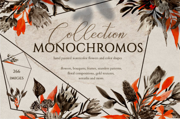 Download Monochrome Floral Collection - Floral Collection