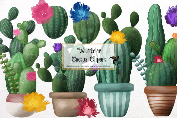 Download Watercolor Cactus Clipart - Clipart Collection