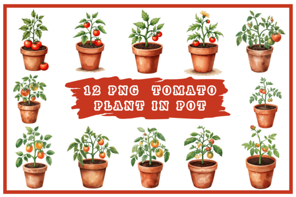Download Tomatoes Watercolor Clipart Bundle #25 - Clipart Collection