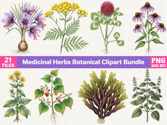 Download Medicinal Herbs Botanical Clipart Bundle - Clipart Collection