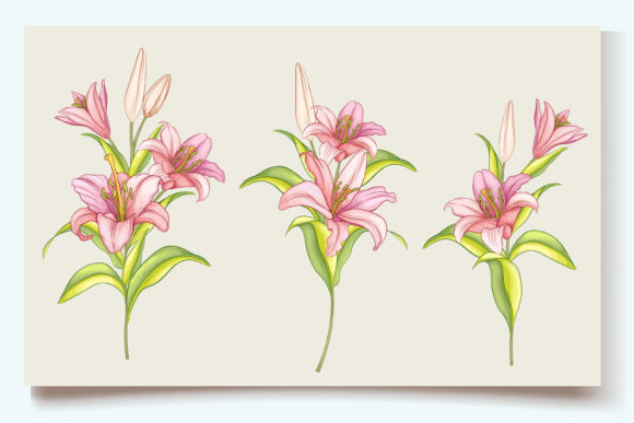 Download Hand Drawn Floral Wedding Card Set - Floral Collection