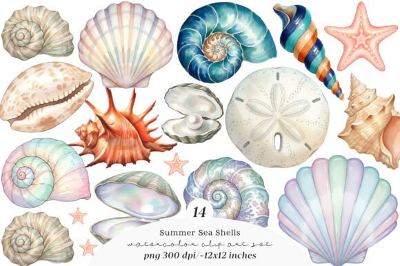 Download Sea Shells Clipart Bundle - Clipart Collection