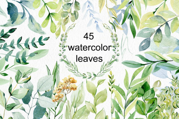 Download Watercolor Leaves Clipart. - Clipart Collection