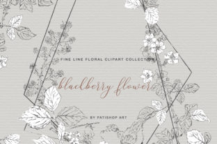 Download Hand Drawn Fine Line Clipart Blackberry - Clipart Collection