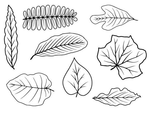 Download Leaf Line Art Illustration - Art Collection