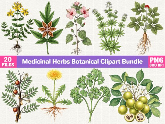 Download Medicinal Herbs Botanical Clipart Bundle - Clipart Collection